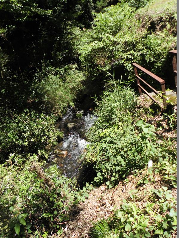 c0108198_17511518.jpg