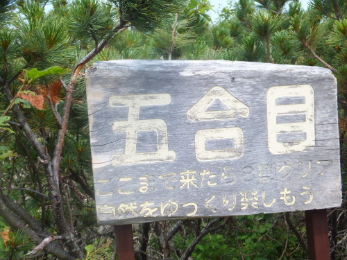b0300818_17010379.jpg