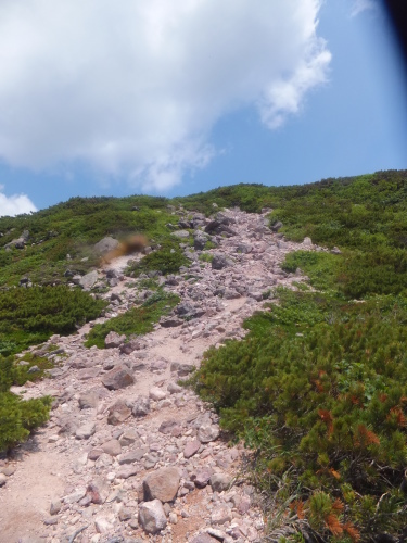 b0300818_17073742.jpg