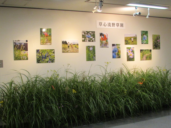 f0139520_21184073.jpg