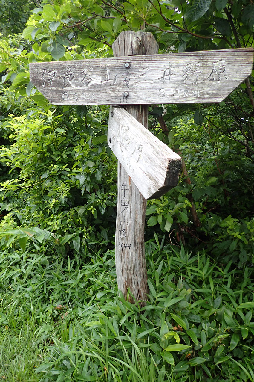 c0064025_16281240.jpg