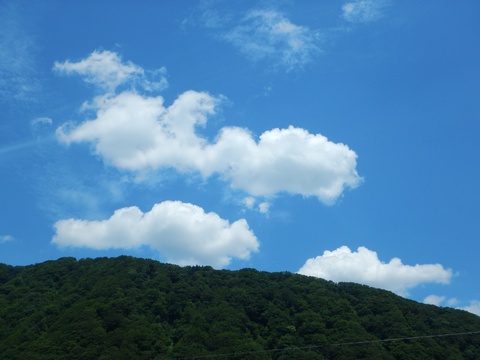 f0118332_21483970.jpg
