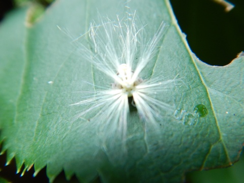 f0118332_21501318.jpg