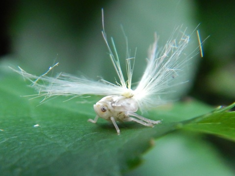 f0118332_21515619.jpg