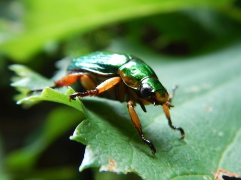 f0118332_21551076.jpg