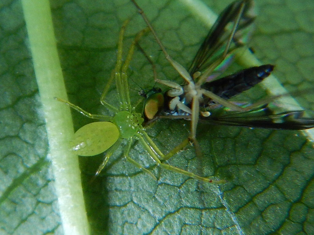 f0118332_2156071.jpg