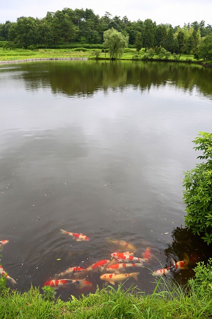 a0242438_1936189.jpg