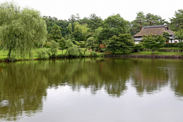 a0242438_19373412.jpg