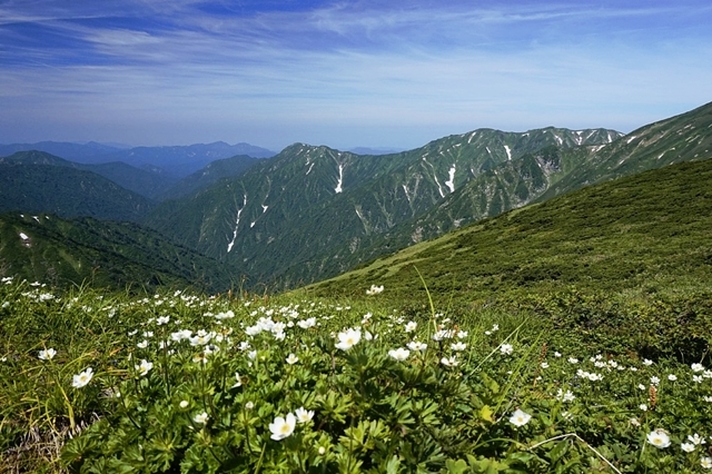 b0122448_20542007.jpg