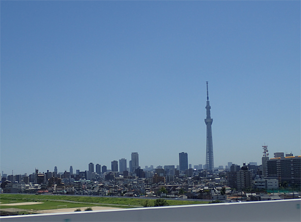 f0214649_3383042.jpg