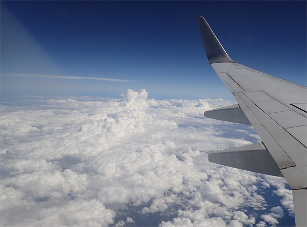 f0214649_354566.jpg