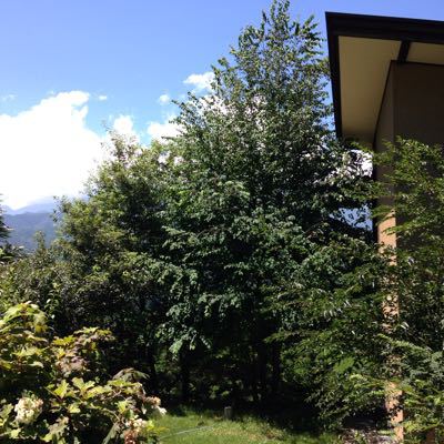d0152765_8541667.jpg