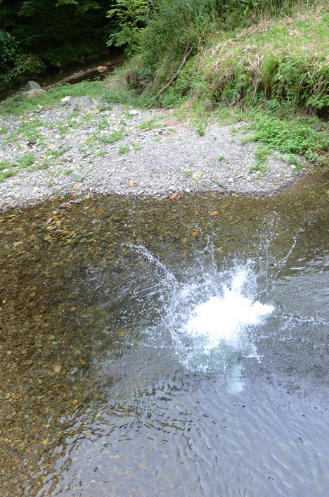 d0095673_1741790.jpg