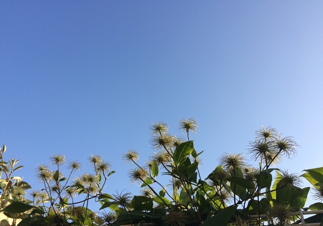 c0257276_16115529.jpg