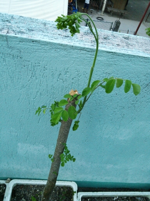 a0108380_07421626.jpg