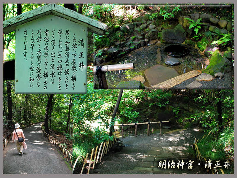 c0009981_3504625.jpg