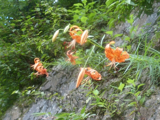 f0357487_11132040.jpg