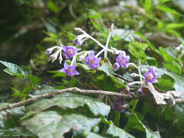 f0357487_11144128.jpg
