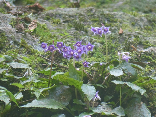 f0357487_11152595.jpg
