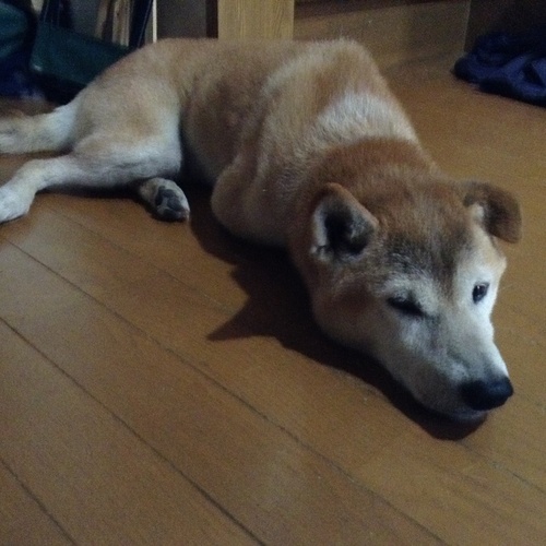 c0123890_20322985.jpg