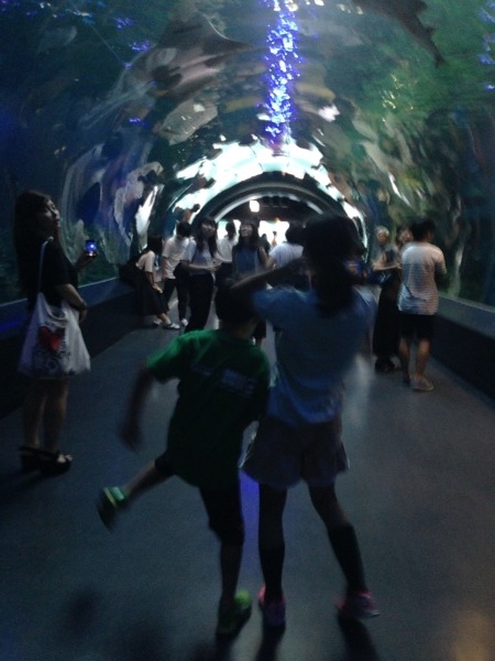 d0134102_07005980.jpg
