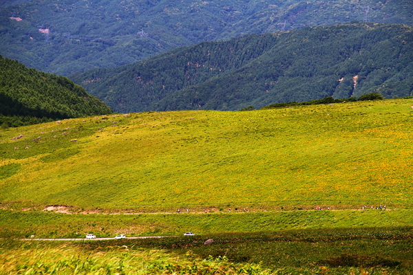 a0251508_12452382.jpg
