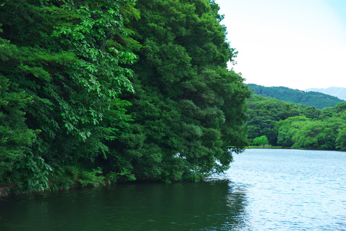 a0263109_13161130.jpg