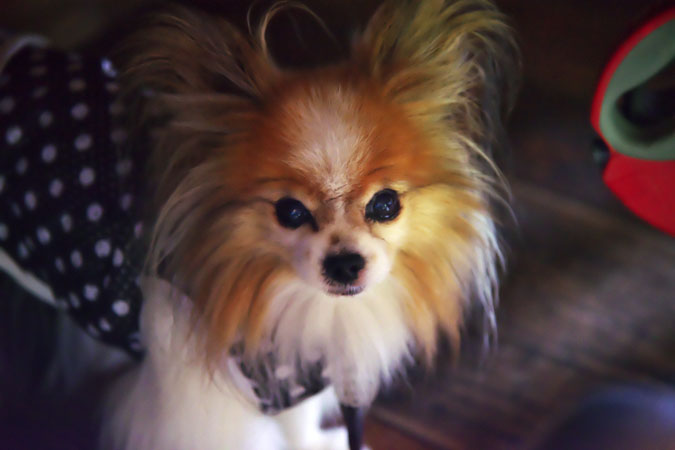 a0263109_1316993.jpg