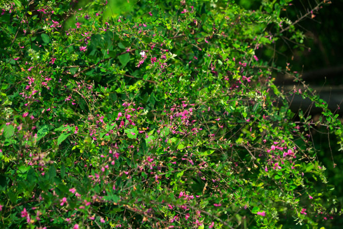 a0263109_1322932.jpg