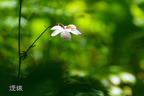 f0212217_16562558.jpg