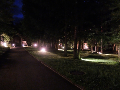 f0128821_23074350.jpg