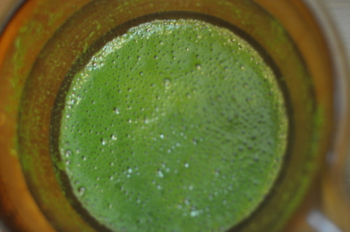 e0254028_11524162.jpg