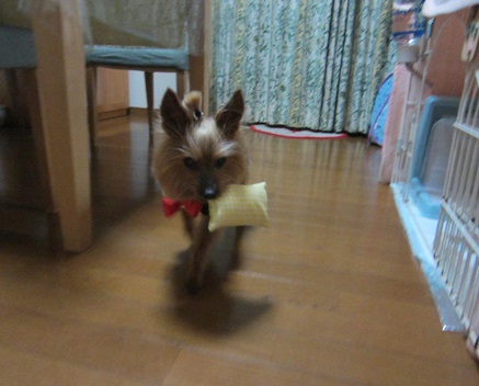 f0002833_9441790.jpg
