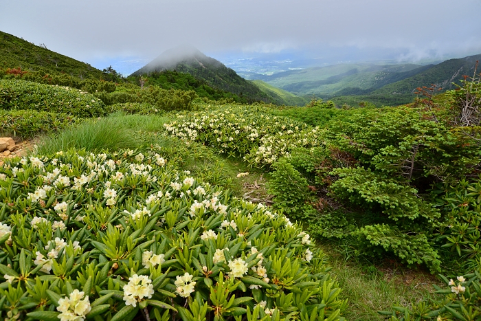b0236334_2029840.jpg