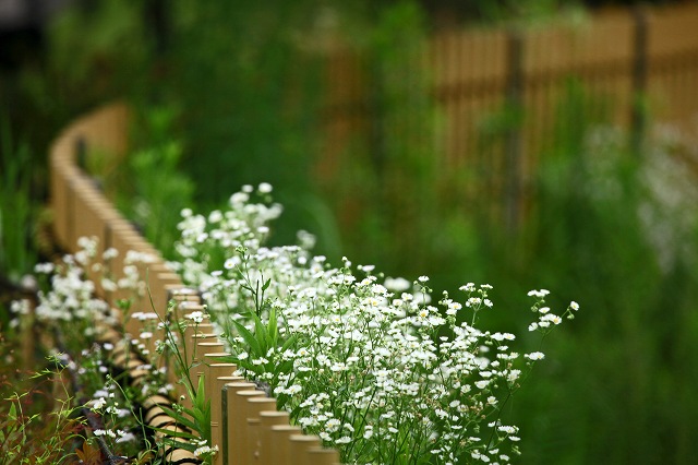 a0242438_200045.jpg