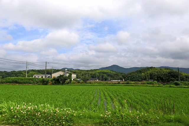 a0242438_2021841.jpg