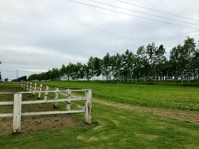 c0234938_11371979.jpg