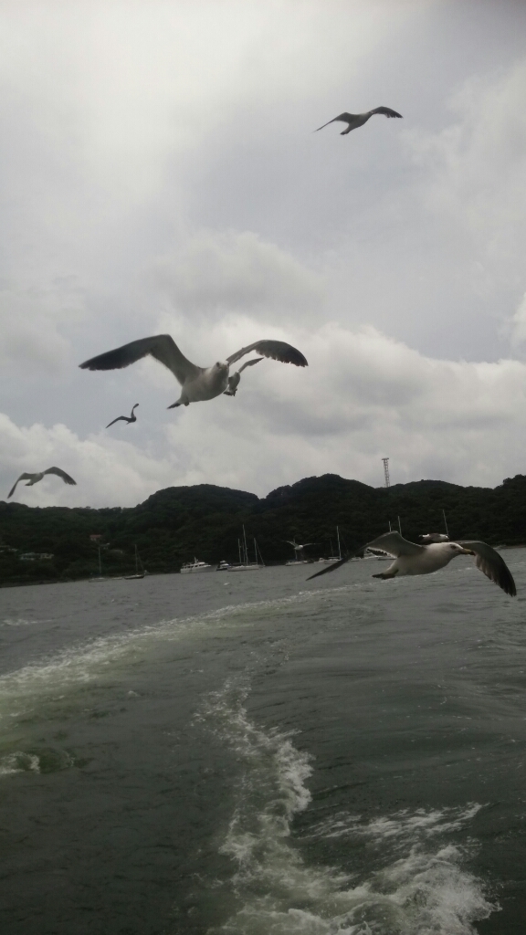 c0335540_21000166.jpg