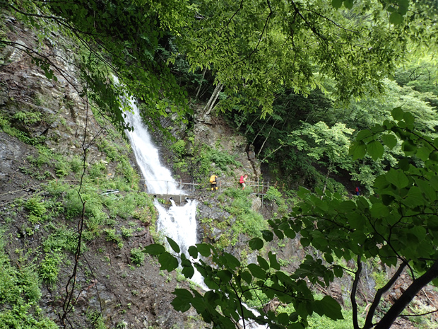 f0214649_4273960.jpg