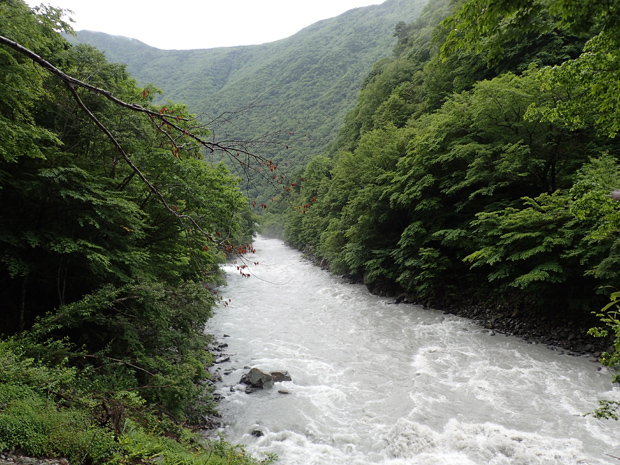 f0214649_4283034.jpg