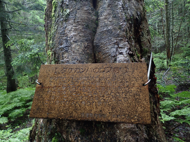 f0214649_4393898.jpg
