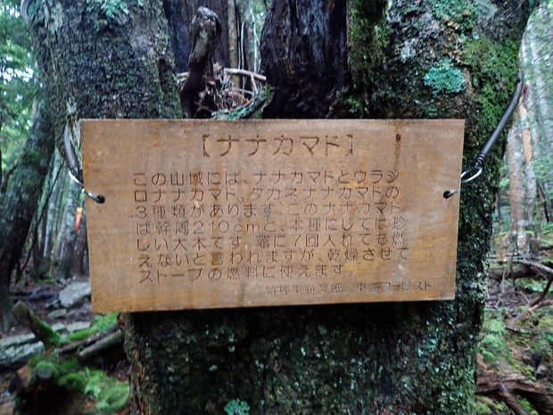 f0214649_4423346.jpg