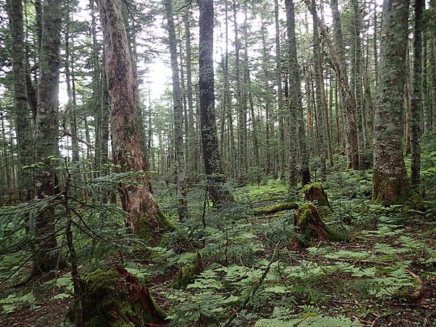 f0214649_4595225.jpg