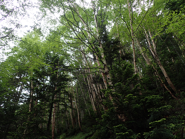 f0214649_565720.jpg