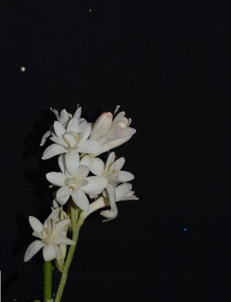 b0243152_852869.jpg