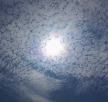 b0173754_12315513.jpg