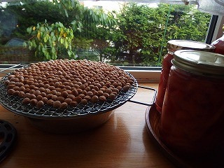e0004756_2157582.jpg