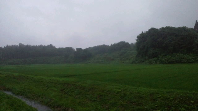 b0311459_684325.jpg