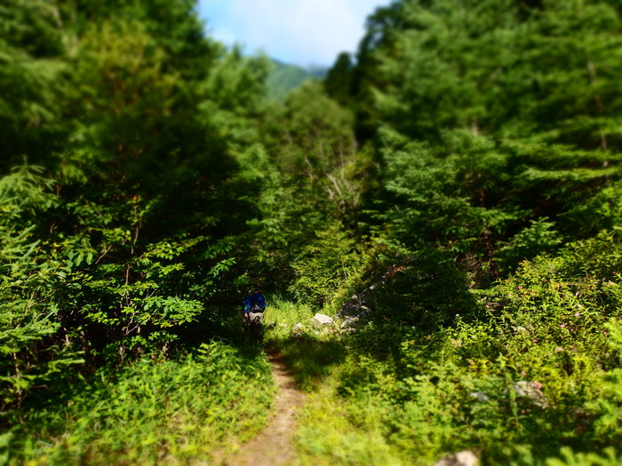 e0212759_2283257.jpg