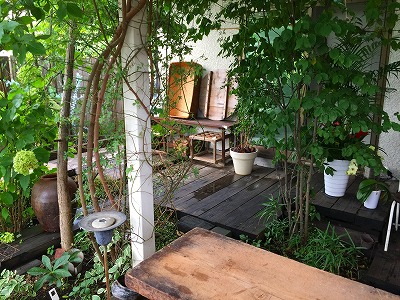 e0001860_211628100.jpg
